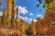 طبیعت و باغات روستای امیر دیزج "آلاکوزه" آذرشهر