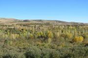 روستای آلماچوان مراغه