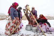 عشایر؛ زندگی و فرهنگ بومی