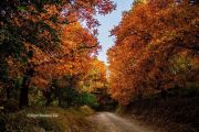 طبیعت زیبای مراغه