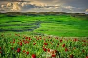  منطقه داش بیلاخ روستای چوپانکره عجب شیر 