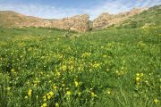 طبیعت زیبای چاراویماق، دامنه اجاق داغی