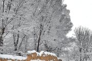 روستای قاضی جهان آذرشهر