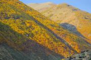  روستای ملک‌تالش ورزقان