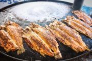 ساج بالیغی میانه