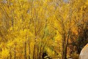 طبیعت مجموعه کوهستانی سهند