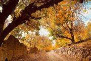  کوچه باغ های تسوج شبستر