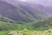  طبیعت زیبای جنگل های پیرداوود ورزقان