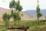   روستای گردشگری عنصرود اسکو، میزبان عطر خوش طبیعت