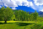 منطقه نمونه گردشگری اسبفروشان سراب